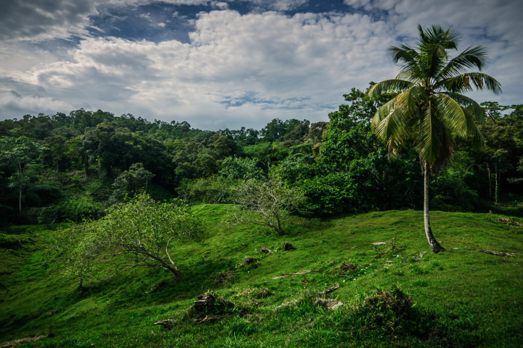 Vrchol kopce uprostřed džungle, kterou je nutno projít při cestě na pláž.