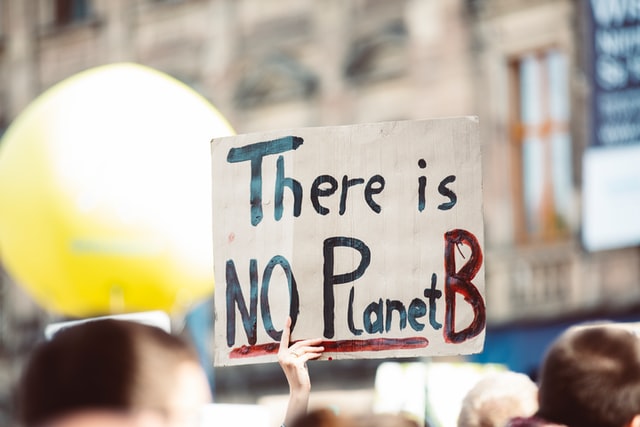 Demonstrace a plakát There is NO Planet B