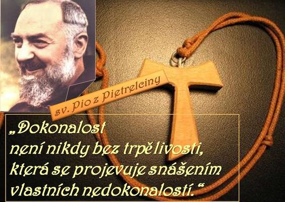 Perfekcionista. Zdroj: Pinterest.com