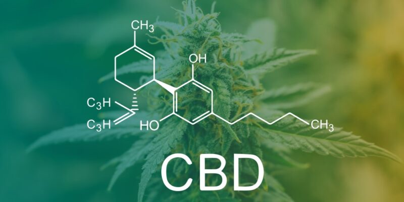 CBD oleje složení