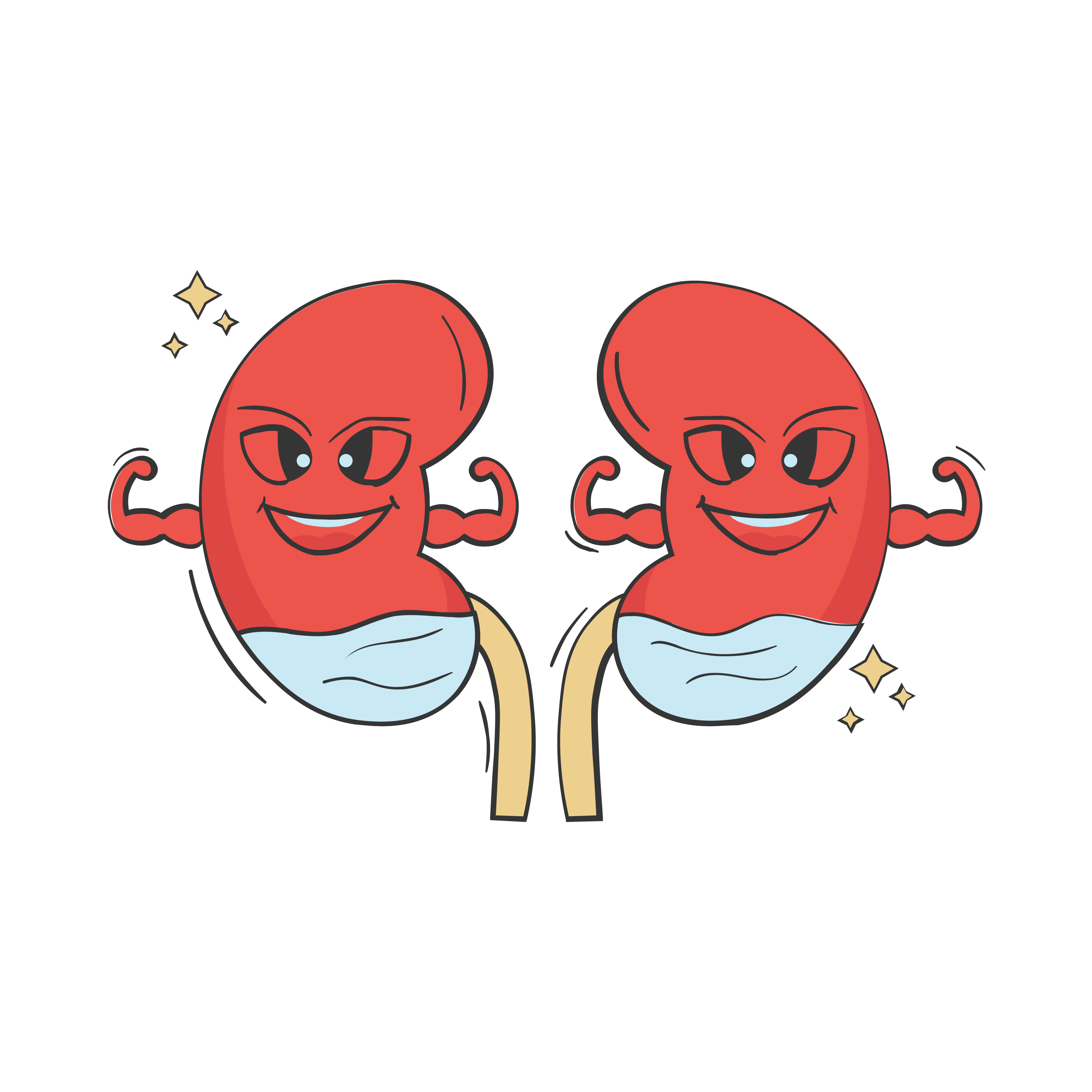 Jak posílit ledviny